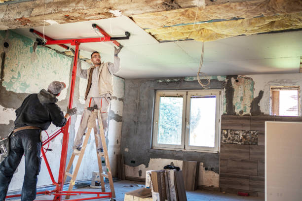 Best Energy Efficiency Insulation in Wallace, FL