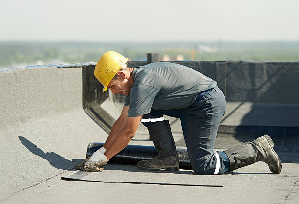 Best Insulation Maintenance and Repair in Wallace, FL
