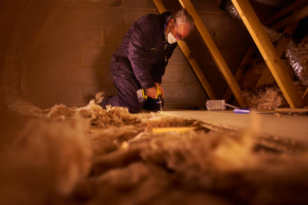 Best Insulation Maintenance and Repair in Wallace, FL